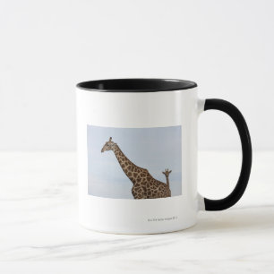 Caneca Girafa (camelopardalis) do Giraffa, nacional de