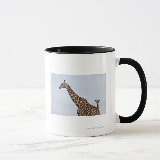 Caneca Girafa (camelopardalis) do Giraffa, nacional de (Direita)
