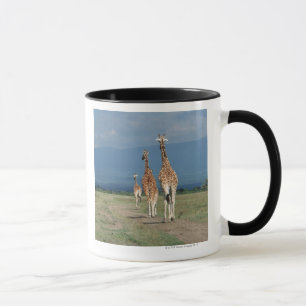 Caneca Girafa Reticulated (camelopardalis do Giraffa) 2