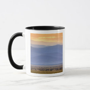 Caneca Gnu durante migração, Connochaetes