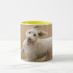 Caneca Goldendoodododle Atravessa Grama