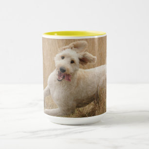 Caneca Goldendoodododle Atravessa Grama
