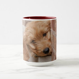 Caneca Goldendoodododle Puppy Pupeking