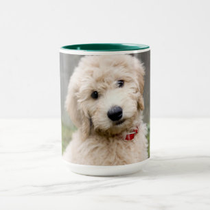 Caneca Goldendoododododle Puppy Senta Em Grama