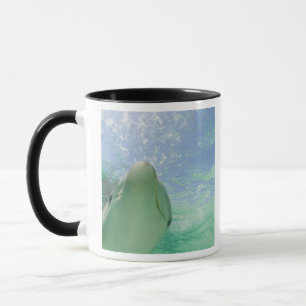 Caneca Golfinho Nariz-de-Garrafa Tursiops truncatus)