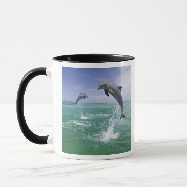 Caneca Golfinho-nariz-de-garrafa Tursiops truncatus (Esquerda)