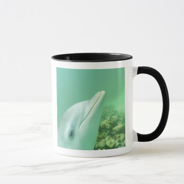 Caneca Golfinho-nariz-de-garrafa Tursiops truncatus (Direita)