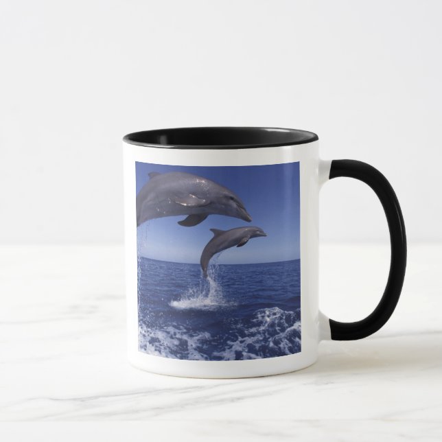 Caneca golfinho-roaz do Caribe (Direita)