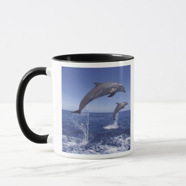 Caneca golfinhos-do-caribe, nariz-de-garrafa (Esquerda)