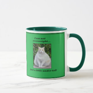 Caneca gorda nao excesso de peso do gato