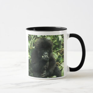 Caneca Gorila da Montanha, (Gorilla gorilla beringei),