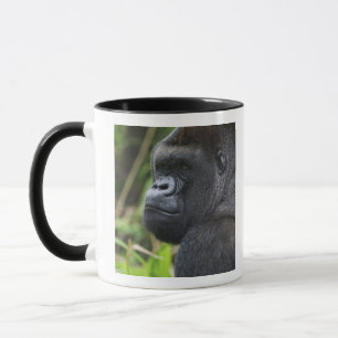 Caneca Gorila-de-costas-silverback, Gorila Cativo
