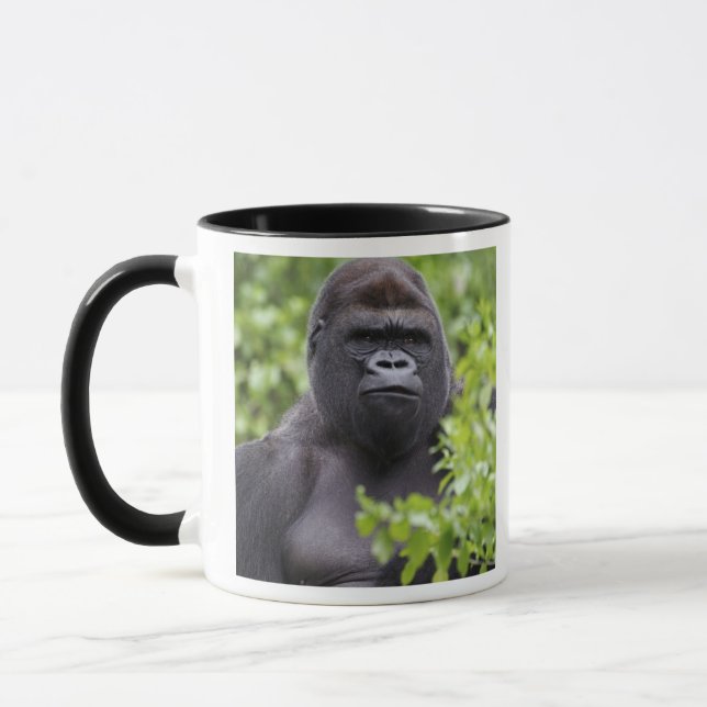 Caneca Gorila-de-costas-silverback, Gorilla gorilla, (Esquerda)