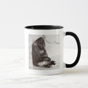 Caneca Gorila do sono da fotografia