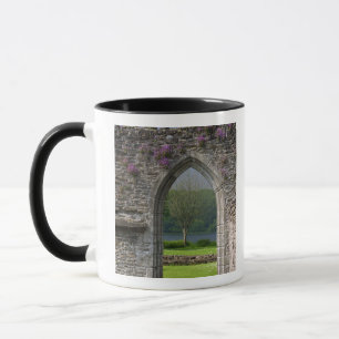 Caneca Grã-Bretanha, Reino Unido, Escócia. Ruínas