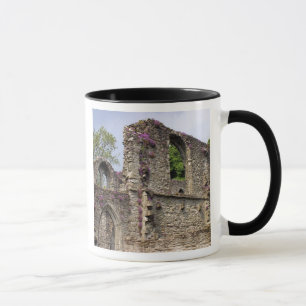 Caneca Grã-Bretanha, Reino Unido, Escócia. Ruínas 2