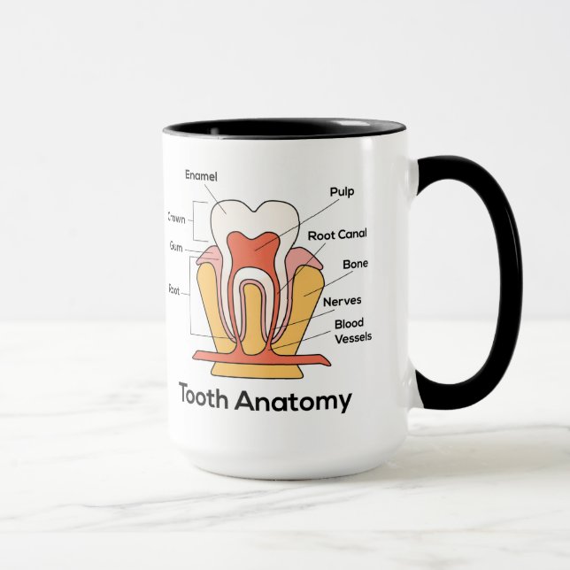 Caneca Gráfico de Anatomia dos Dentes (Direita)