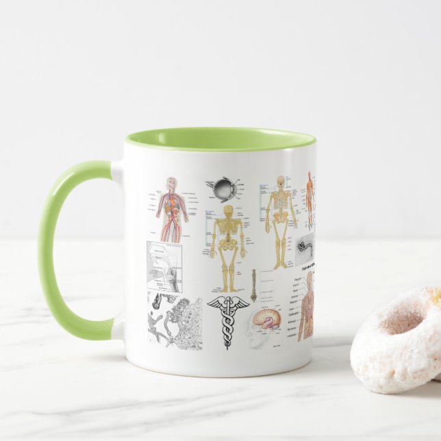 Caneca Gráficos de Anatomia Humana (Com Donut)