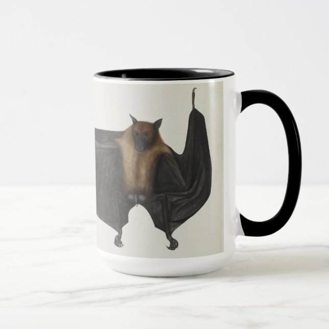 Caneca Grande megabat indiano, c.1777-82 (Direita)