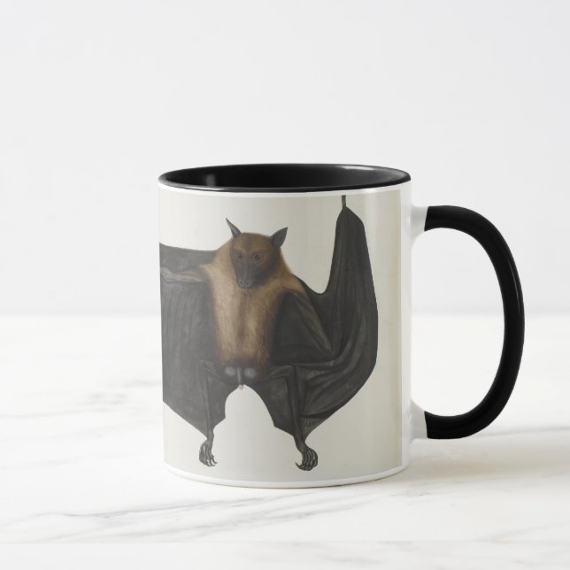Caneca Grande megabat indiano, c.1777-82 (Direita)