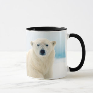 Caneca Grande varrão adulto do urso polar no gelo do