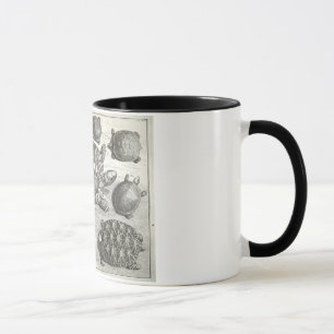 Caneca Gravura a água-forte da tartaruga do vintage
