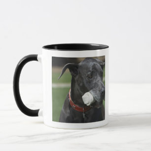 Caneca Great dane com osso