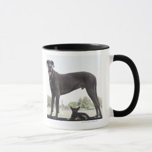Caneca Great dane e cão pequeno da misturado-raça