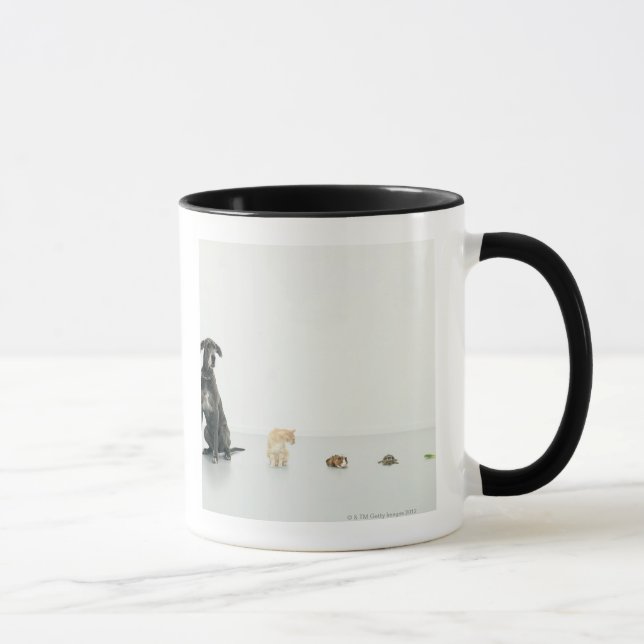 Caneca Great dane, gato, cobaia, tartaruga e slug (Direita)