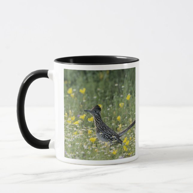 Caneca Greater Roadrunner, Geococcyx californianus, (Esquerda)