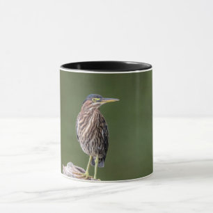 Caneca Green Heron em um registro