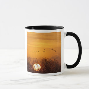 Caneca Grouves-da-areia silhuetados contra o sol nascente