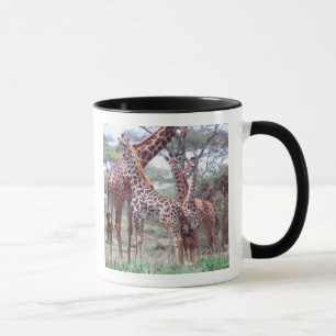 Caneca Grupo de girafas ou manada com filhotes, Giraffa