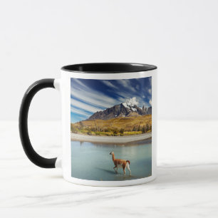 Caneca Guanaco que cruza o rio em Torres del Paine
