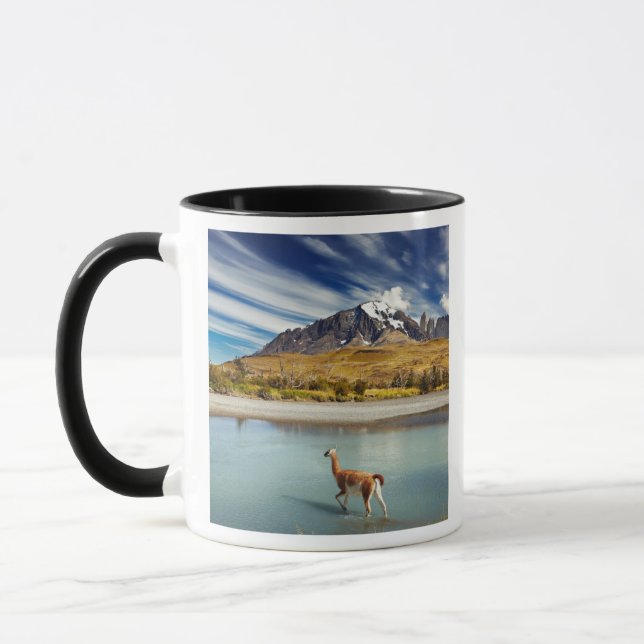 Caneca Guanaco que cruza o rio em Torres del Paine (Esquerda)