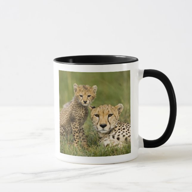 Caneca Guepardo, Acinonyx jubatus, com filhote (Direita)