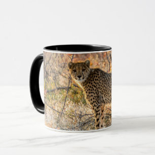 Caneca Guepardo Olhando em Volta
