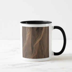 Caneca Gullies na Borda da Cratera Hale, Marte