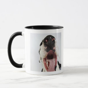 Caneca Harlequin great dane com boca aberta, fim-acima,