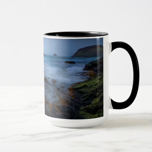 Caneca Harris encalha o parque estadual | Oregon (Direita)