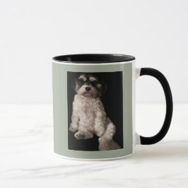 Caneca Havanese-pnha a imagem do seu cão aqui