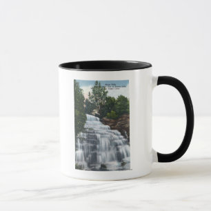Caneca Hector cai perto da opinião do lago Seneca