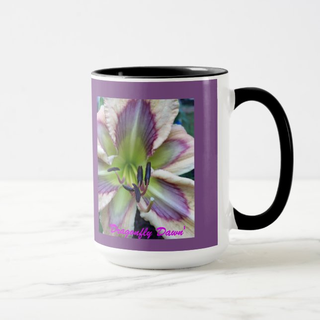 Caneca Hemerocallis ‘Dragonfly Dawn’ (Direita)