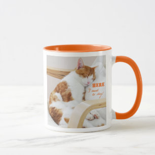 Caneca Here j want to stay! - gatos fotografia