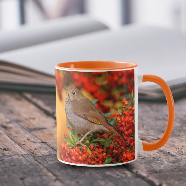 Caneca Hermit Thrush Songbird no Scarlet Firethorn (Hermit Thrush on Pyracantha Shrub 11 oz Coffee Mug Cover Photo.)