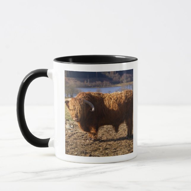 Caneca Highland Cattle Bull, Escócia (Esquerda)