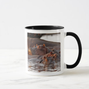 Caneca Hipopótamo, Hippopotamus amphibius, Lago