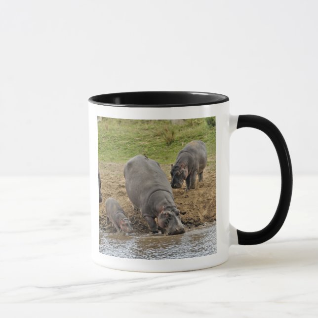 Caneca Hippopotamus, Hippopotamus amphibius, Serengeti (Direita)