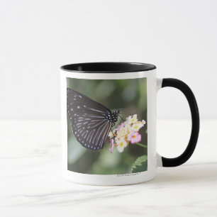 Caneca Hodokubo, Hino, Tokyo, Japão 5