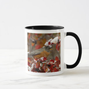 Caneca Homem Americano Robin no Black Hawthorn
